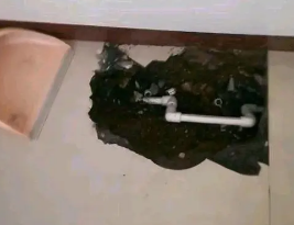 徐水卫生间测漏水多少钱